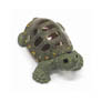 Size:55*43*23mm