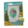 Size:125.4*99.6mm
